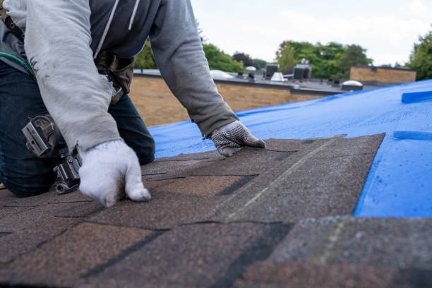 Best Roof Gutter Cleaning  in Donaldsonville, LA