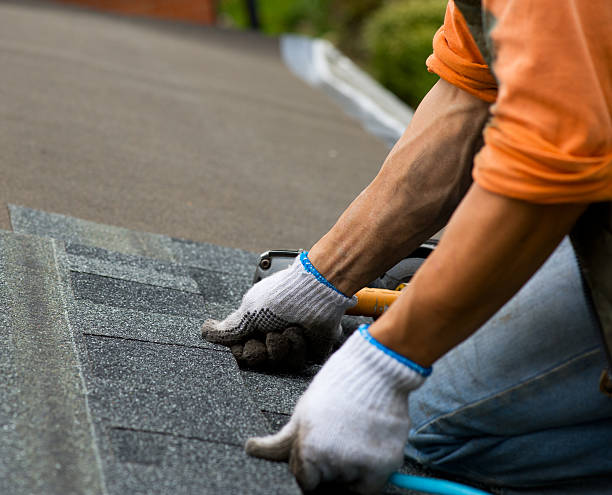 Best Storm Damage Roof Repair  in Donaldsonville, LA